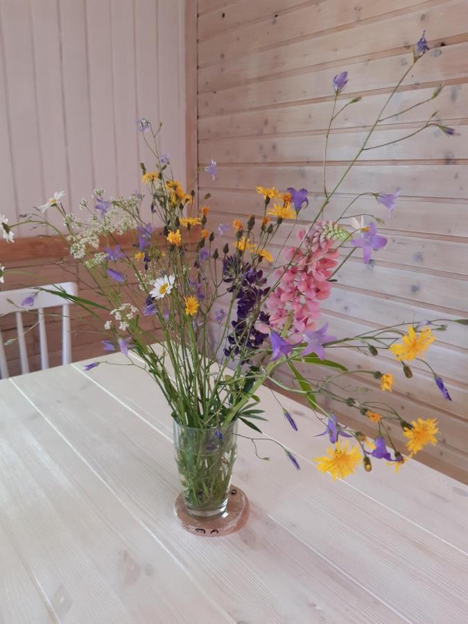 Hygge Chaloupka V Horach Villa Cesky Jiretin Ngoại thất bức ảnh