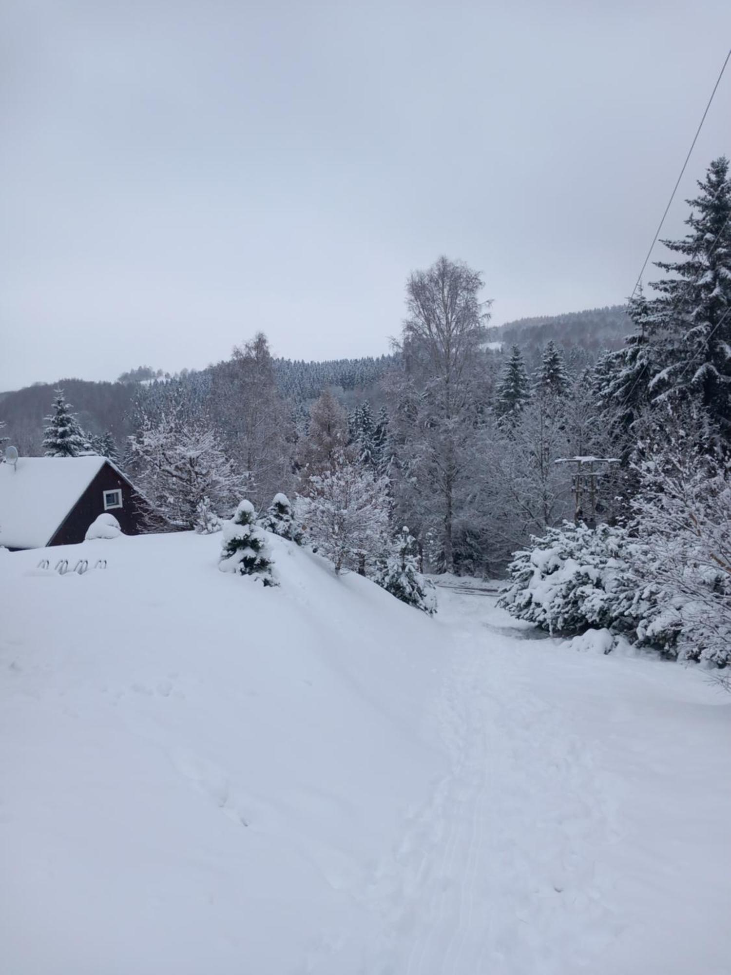 Hygge Chaloupka V Horach Villa Cesky Jiretin Ngoại thất bức ảnh